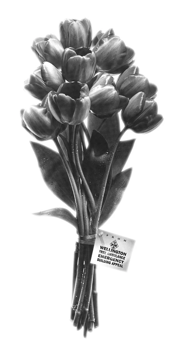 Wellington Free Ambulance